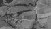 Mlyňany letfoto 1952