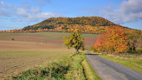 1200px-vladar_2017-10-14_od_bohuslavi.jpg