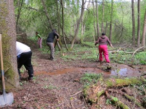 brigada-stezka-2015.05--4-mmmmmm.jpg