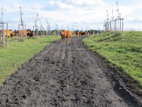 skoky--oprava-cesty-u-polomu-2017.10a--3-.jpg