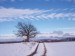 DSCN4587a